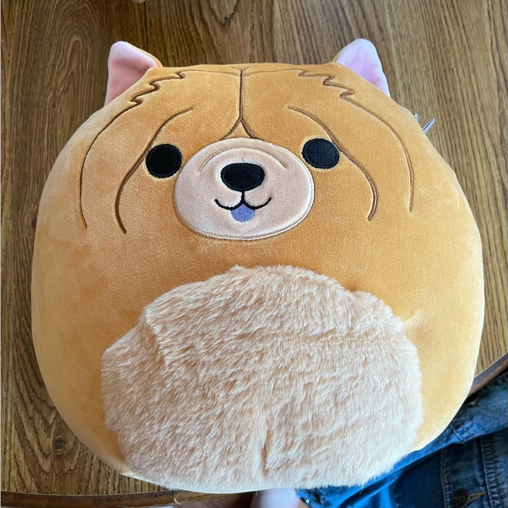 Ultra Rare Chow Chow Squishmallow Sandro!